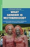 What Gender is Motherhood?: Changing Yorùbá Ideals of Power, Procreation, and Identity in the Age of Modernity (hardcover)