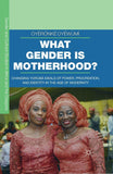 What Gender is Motherhood?: Changing Yorùbá Ideals of Power, Procreation, and Identity in the Age of Modernity (paperback)