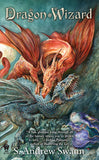 Dragon Wizard (Dragon Princess, 3)